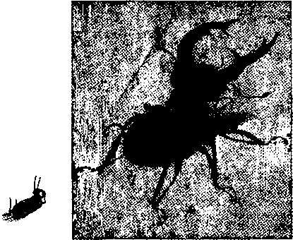 Шедевр i_122.png