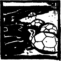 Тайны географических названий i_019.png