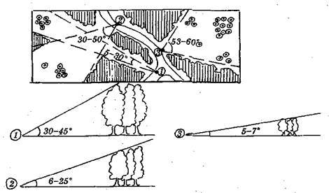 Справочник современного ландшафтного дизайнера i_076.jpg