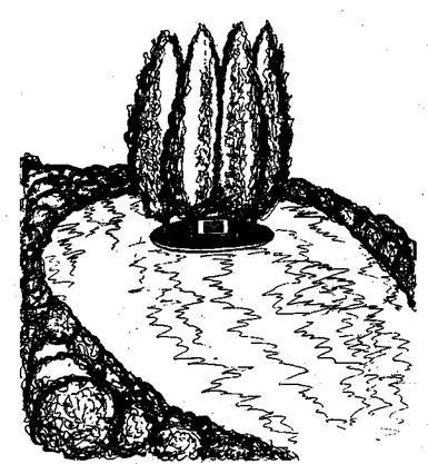 Справочник современного ландшафтного дизайнера i_105.jpg