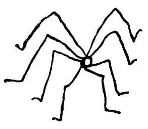 Длинноногий папочка i_001.jpg