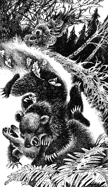 Последняя глушь img11.png