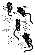 Хеломские мудрецы _3_4.png