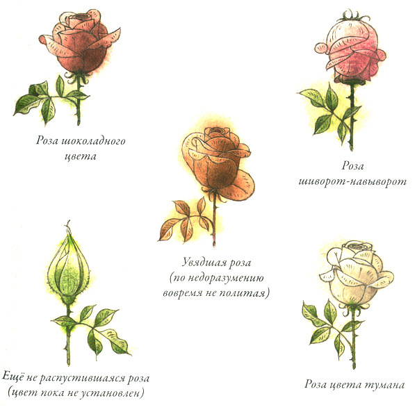 Садовник Флоренций i_010.jpg