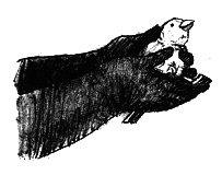 Парящий тигр i_063.png