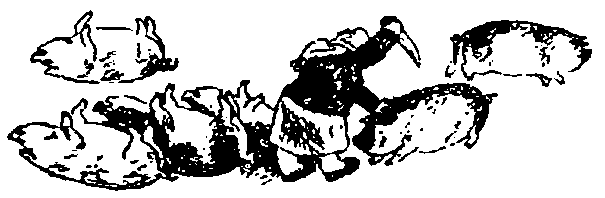 Зовут его Валерка i_038.png
