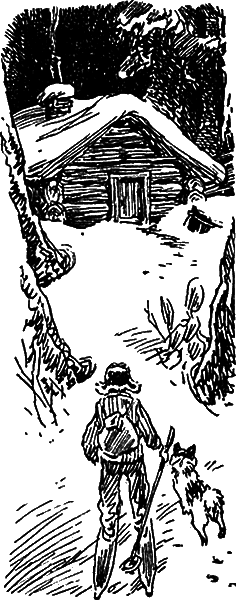 Тигровые каникулы i_028.png