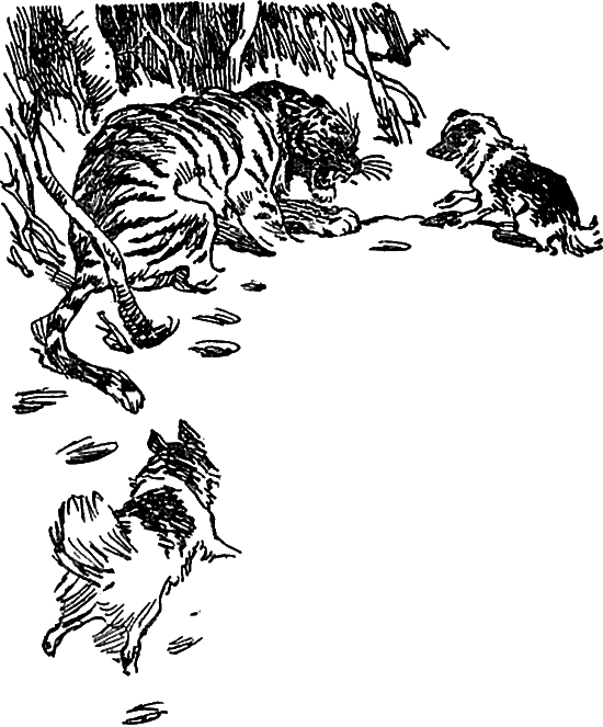Тигровые каникулы i_031.png