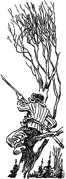 Тигровые каникулы i_035.png