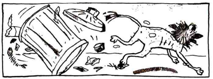Нотсо Хотсо. i_024.jpg