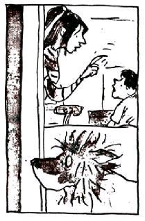 Нотсо Хотсо. i_027.jpg