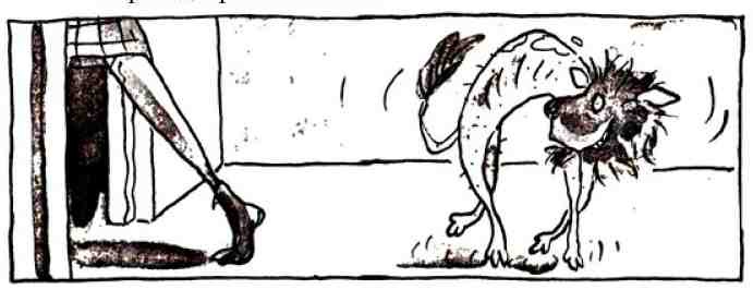 Нотсо Хотсо. i_028.jpg