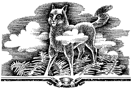 Миссия Огнезвезда. Книга 1. Искупление i_011.png