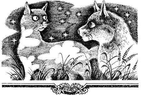 Миссия Огнезвезда. Книга 1. Искупление i_012.png
