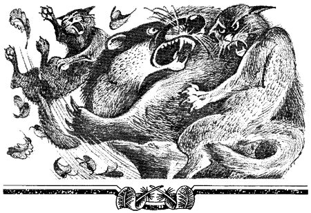 Миссия Огнезвезда. Книга 1. Искупление i_013.png