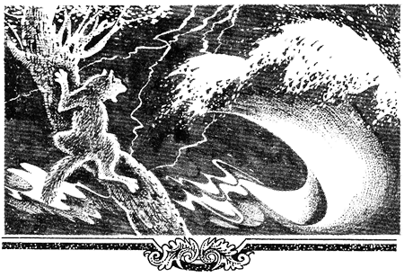 Миссия Огнезвезда. Книга 1. Искупление i_015.png