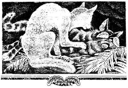 Миссия Огнезвезда. Книга 1. Искупление i_007.png