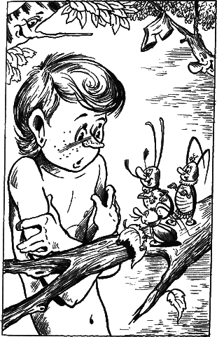 Сказочные повести. Выпуск пятый i_056.png