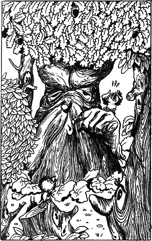 Сказочные повести. Выпуск пятый i_064.png