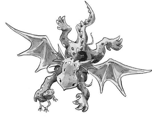Froschzauber i_030.jpg