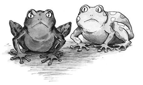 Froschzauber i_043.jpg
