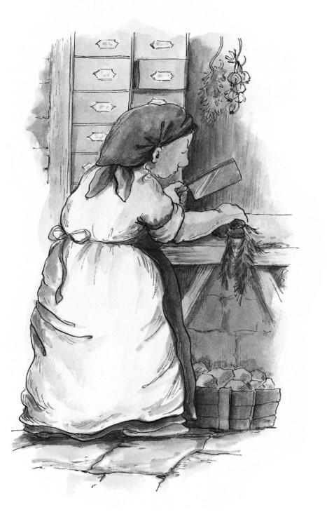 Froschzauber i_012.jpg