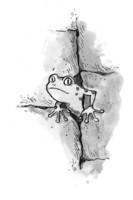 Froschzauber i_024.jpg