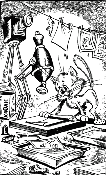 Сказочные повести. Выпуск второй i_028.png