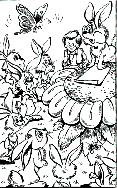 Сказочные повести. Выпуск второй i_017.png