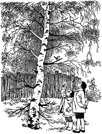 Кожаные башмаки i_024.png