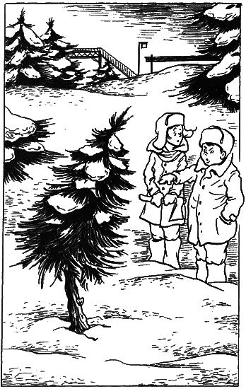 Невероятные истории. Сборник рассказов и повестей i_017.png