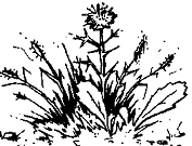 Нарушения письменной речи и их преодоление у младших школьников i_099.png