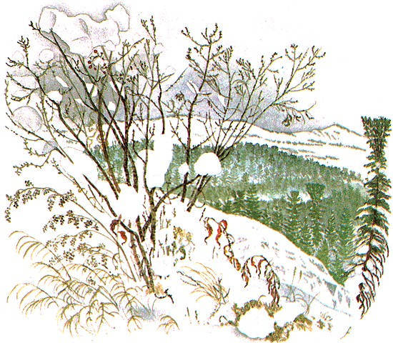 Золотая Ригма i_002.jpg