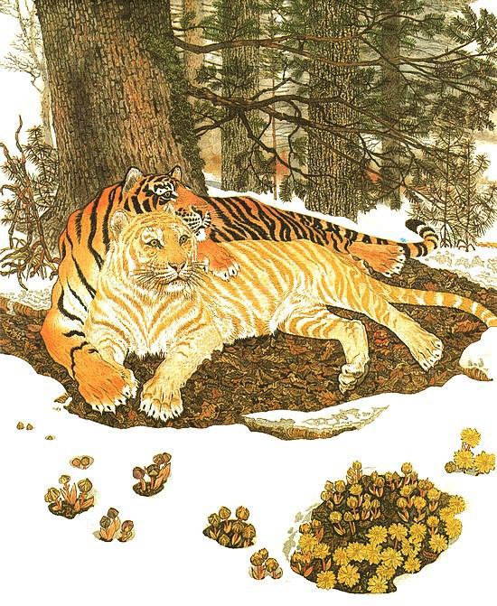 Золотая Ригма i_019.jpg