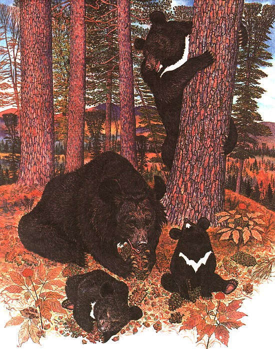 Золотая Ригма i_023.jpg