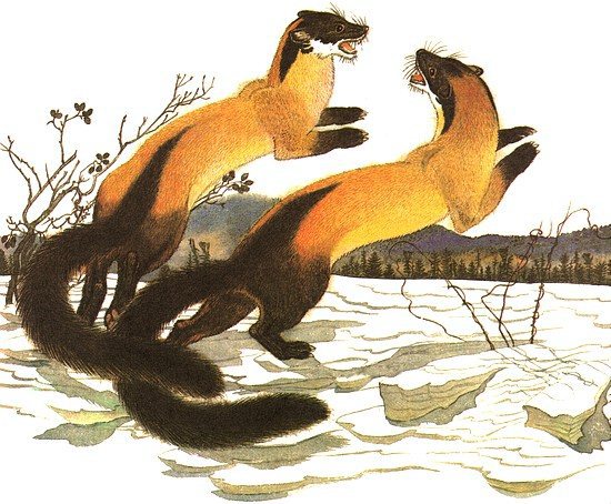 Золотая Ригма i_051.jpg