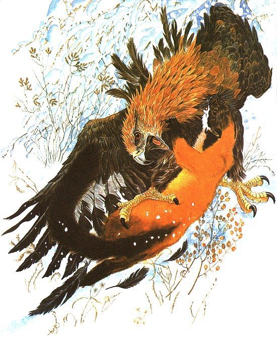 Золотая Ригма i_052.jpg