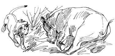 Среди животных Африки i_011.png