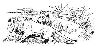 Среди животных Африки i_014.png