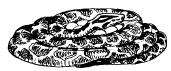 Среди животных Африки i_018.png