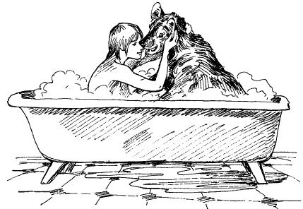 Среди животных Африки i_030.png