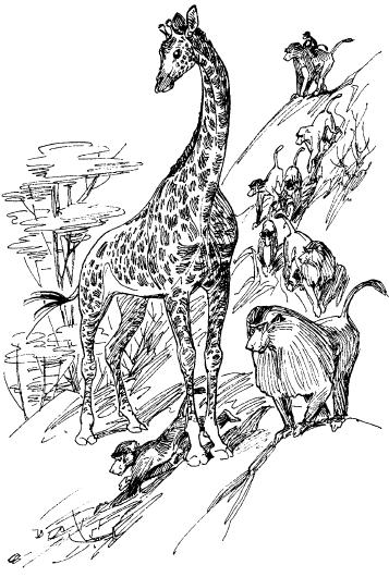 Среди животных Африки i_035.png
