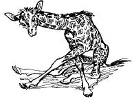 Среди животных Африки i_036.png