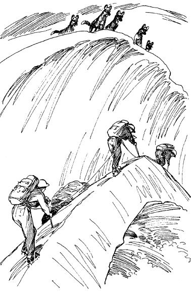 Среди животных Африки i_066.png