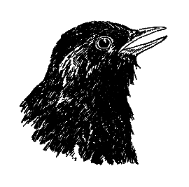 Братья наши меньшие [Мы вовсе не такие] i_062.png