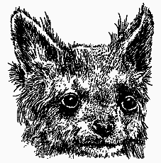 Братья наши меньшие [Мы вовсе не такие] i_013.png