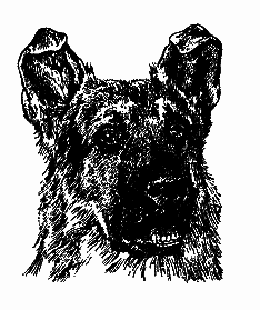 Братья наши меньшие [Мы вовсе не такие] i_023.png