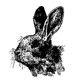 Братья наши меньшие [Мы вовсе не такие] i_048.png