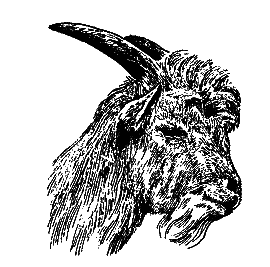 Братья наши меньшие [Мы вовсе не такие] i_052.png