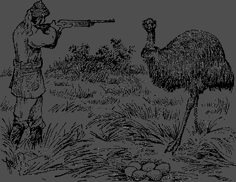 Австралийские этюды i_015.png